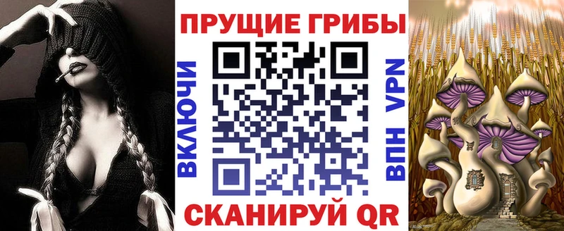 Галлюциногенные грибы ЛСД  Белая Холуница 
